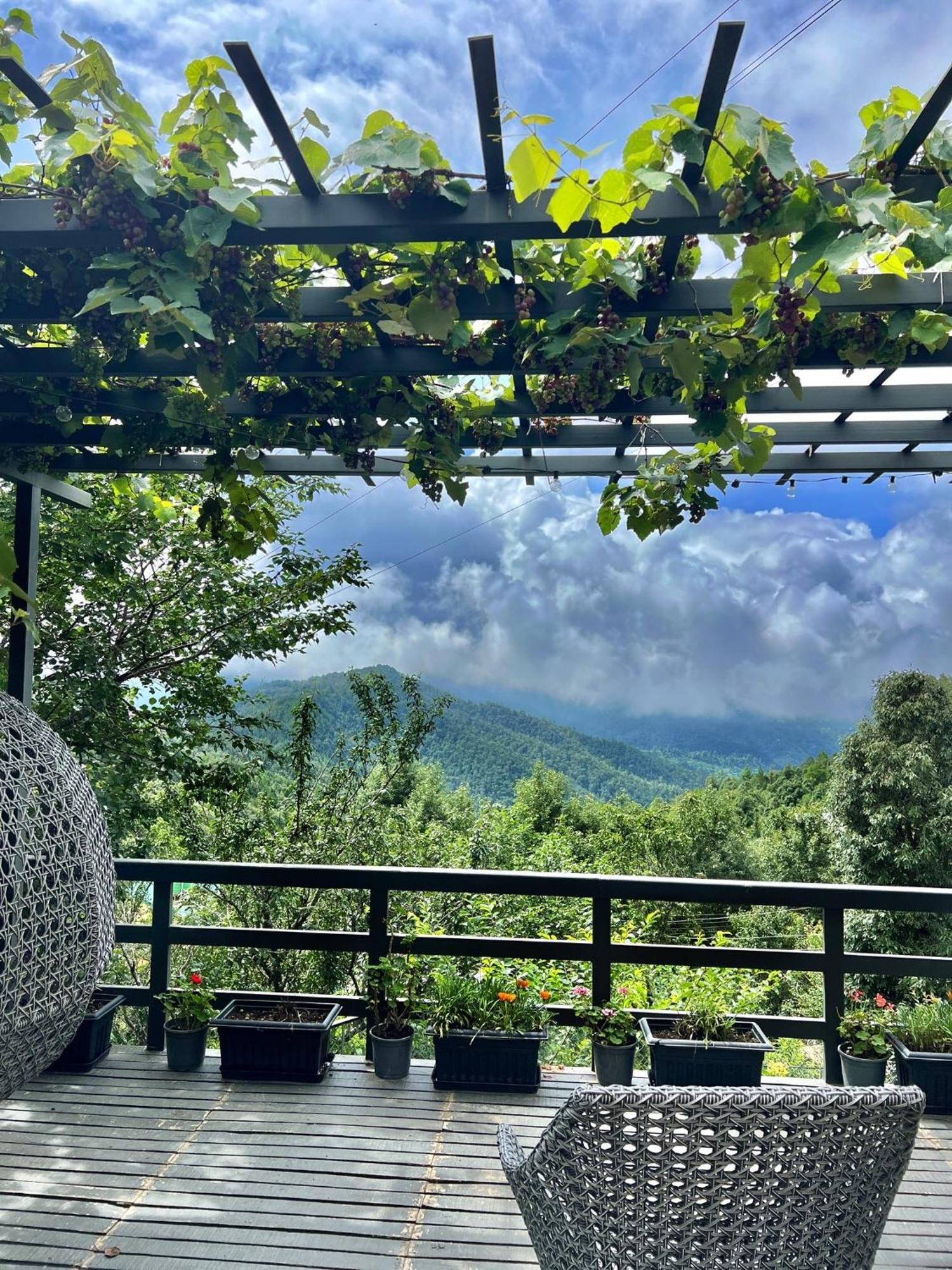 Hotel The Birdcage, Mukteshwar Exteriér fotografie