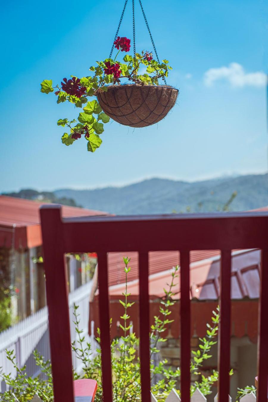 Hotel The Birdcage, Mukteshwar Exteriér fotografie